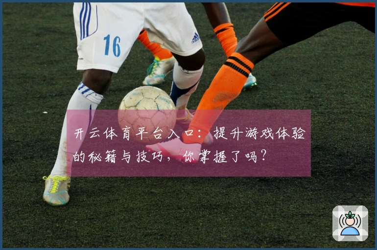 开云体育平台入口：提升游戏体验的秘籍与技巧，你掌握了吗？
