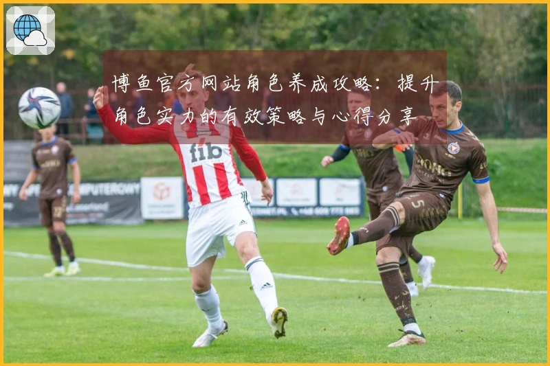 博鱼官方网站角色养成攻略：提升角色实力的有效策略与心得分享